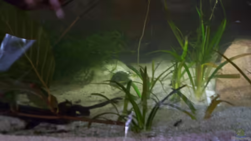 Eine Höhle von Didi (6)