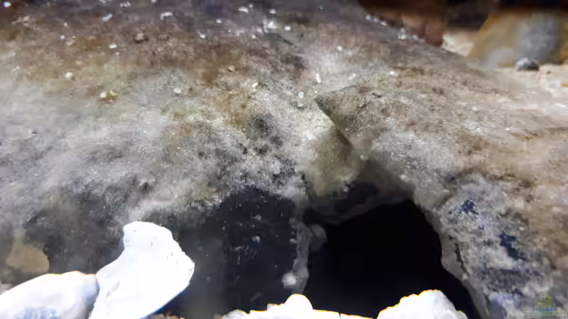 eine Höhle von Miketsch (20)