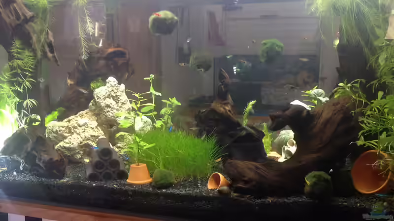 Eine Idee, die mir in der Nacht kam, rasch umgesetzt... von Ditti (5)