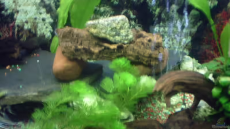 eine kleine selbstgebaute Höhle von valla88 (12)