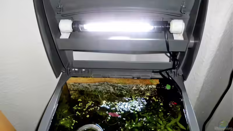 Eine LED-Beleuchtung nachrüsten - Der umfassende Leitfaden für dein Aquarium
