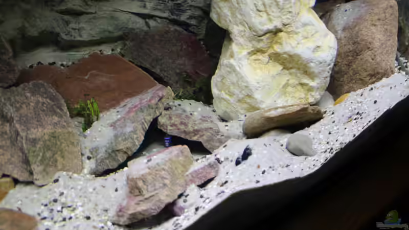 eine Menge Höhlen zum Verstecken von Cruiser Bruno (11)