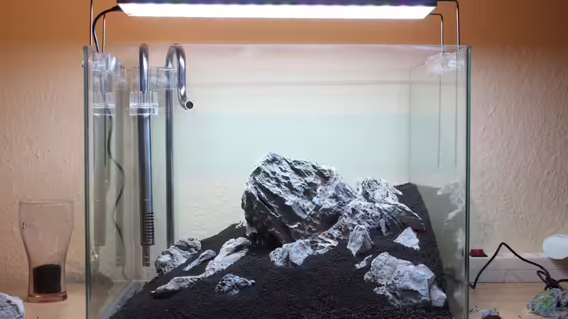 Eine prise Soil Powder und das Einpflanzen wird einfacher. von X-Rayminator (7)