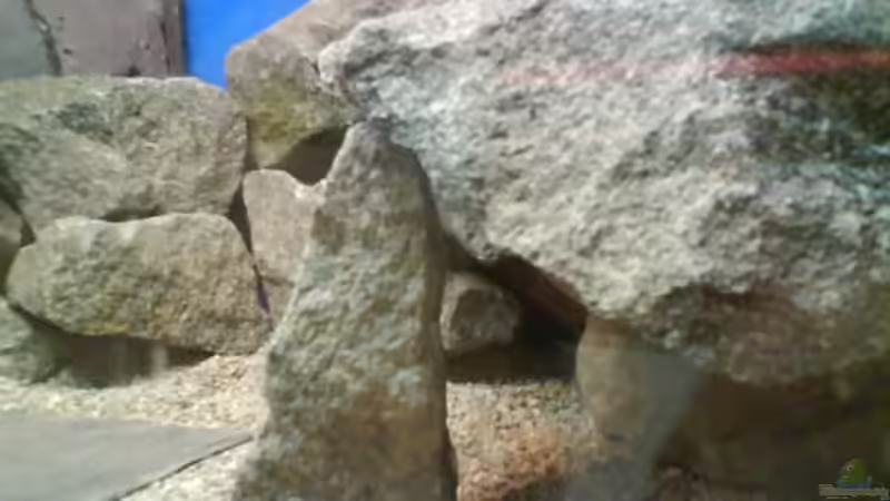 eine unterstand von leutert1 (7)