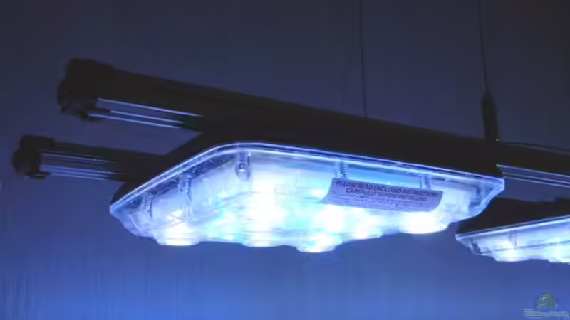 Eine von 3 Leuchteinheiten Suna Eco 1000. von Rolf Mohr (11)