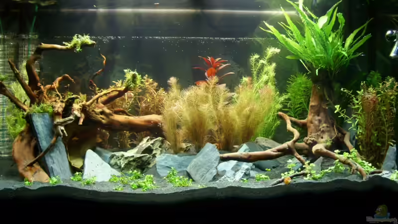 Eine Woche nach der einrichtung von Alex Simon (4)