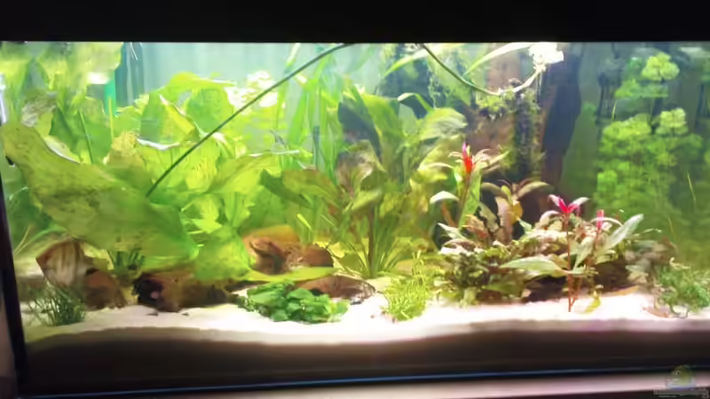 Eine Woche nach Einrichtung von Maria Dicke (2)