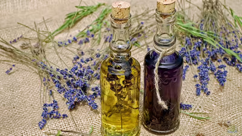 Einen Apothekergarten anlegen - Anleitung, Tipps und Pflanzenempfehlungen