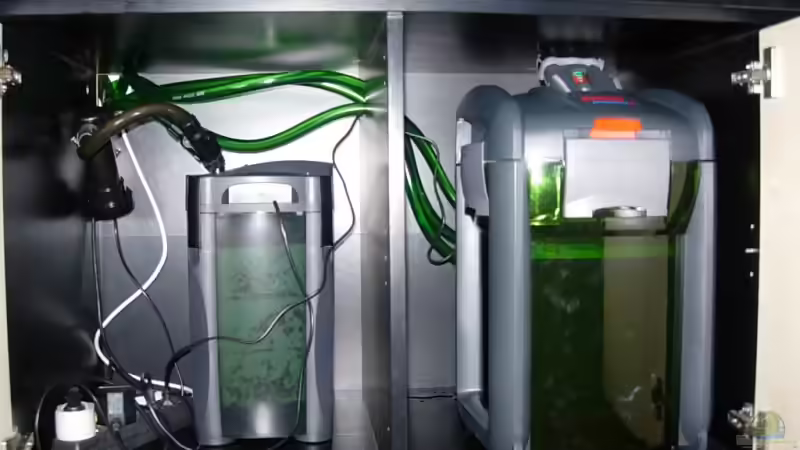 Einen Aquariumfilter durch einen neuen Filter ersetzen