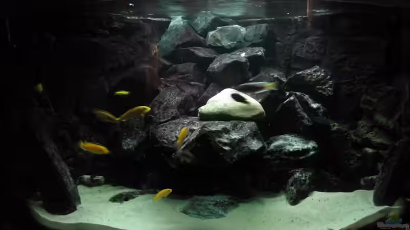 Einen hellen Stein drin, bin noch unschlüssig ob es mir gefällt ;) von HessiJames (4)