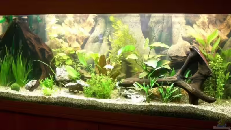 einen tag nach der einrichtung von Stephan Fehringer (2)