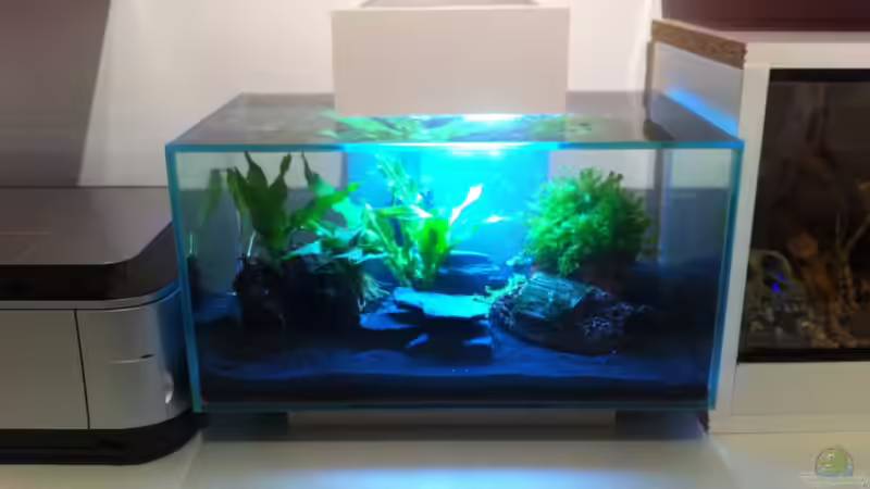 einen Tag nach der Ersteinrichtung von Thomas Limberg (2)