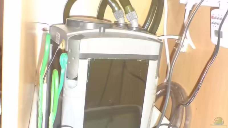 Einer der 2 Filter. 1200l/h von Daniel Blöchl (2)