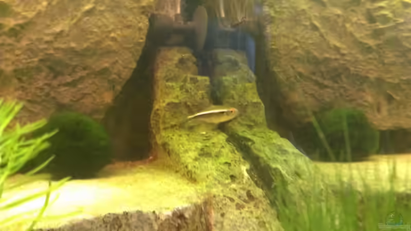 Einer der 4 Schwarzen Neons  von Jan H. (29)