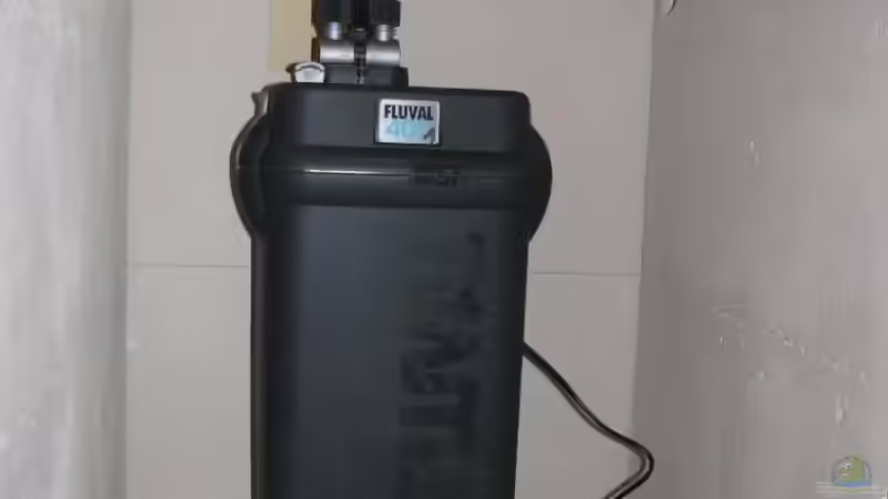 Einer der beiden Fluval 405 Außenfilter von Sado-Uwe (12)