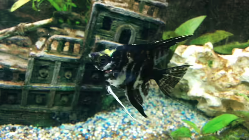 Einer der Marmorskalare von Johannes Lemke (3)