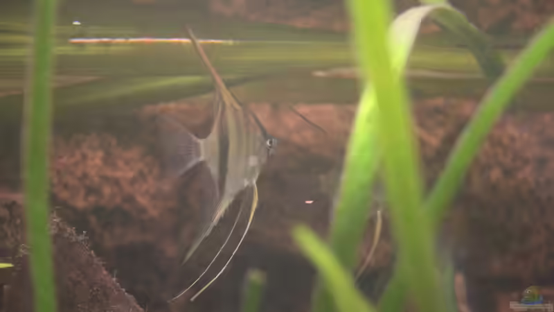 Einer der Neuen:) von Maximilian Landrock (11)