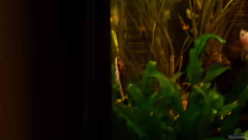 einer der Otos von Grek77 (18)