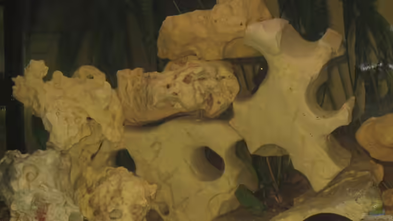 Einer der Steinaufbauten von NochEinChris (4)