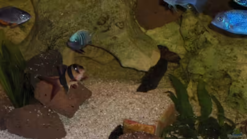 einer der vielen Höhleneingänge von Jens Zinder (3)