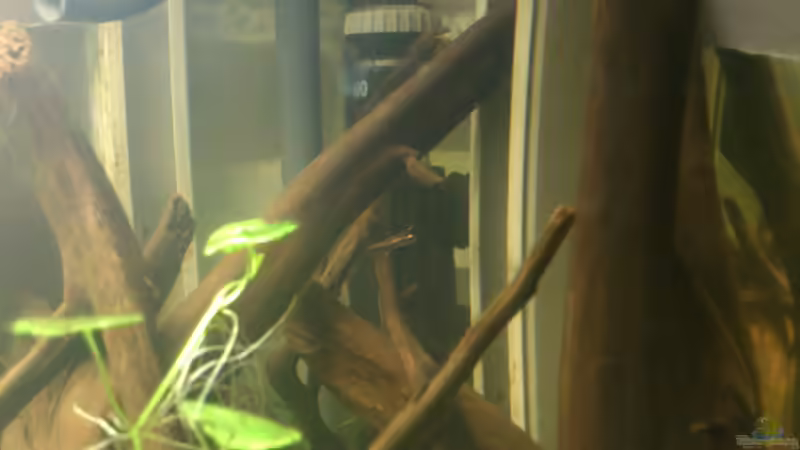 einer von den kleinen Glühlicht-Scheißern von Markus J. (39)