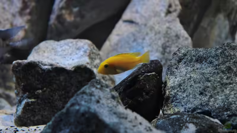 einer von den neuen vom 29.09.2014 von Marco O. (35)