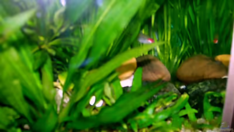 einer von zwei kl. runden Kieselsteihaufen von Tom Prpic (13)