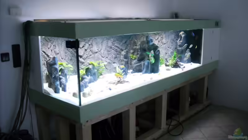 Eines der ersten Bilder - die Pumpen links im Bild sind vom alten Aquarium und sind nur zu Beginn mit gelaufen von Herbert (21)