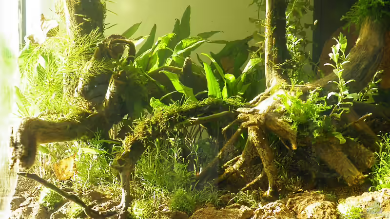 Einfach Grün - 06.05.2011 von bergfrau (22)