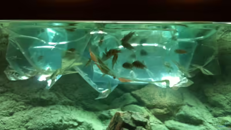 Einfach nur Schön .... von Manuel Jettki (8)