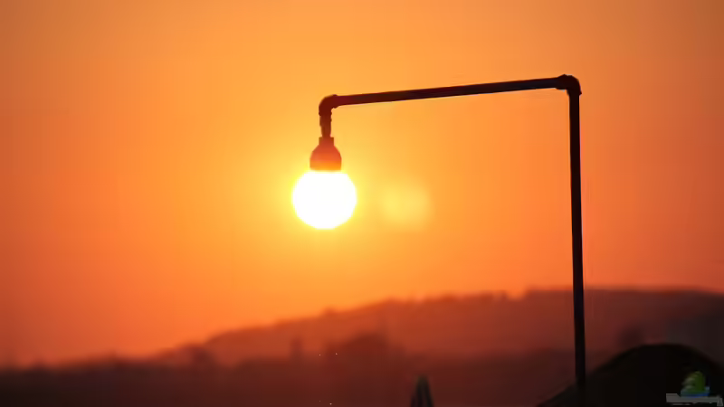 Einfache Abkühlung im Sommer: Ideen für schöne Gartenduschen