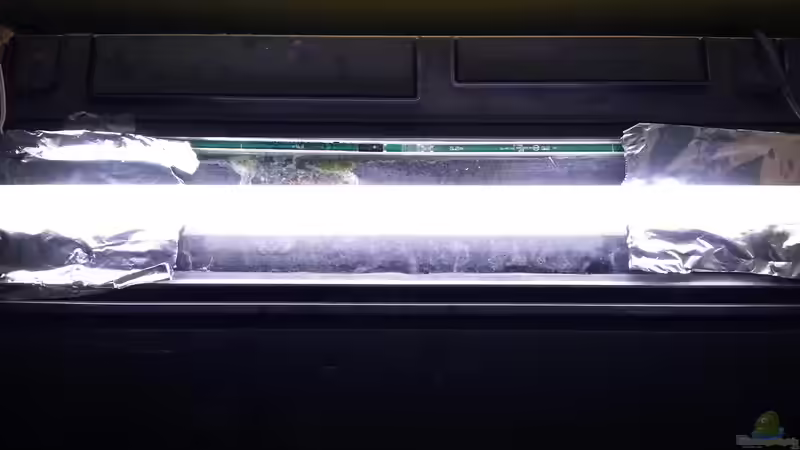 einfache Aluminiumfolie regelt den Lichteinfall von junger Aquarianer (37)