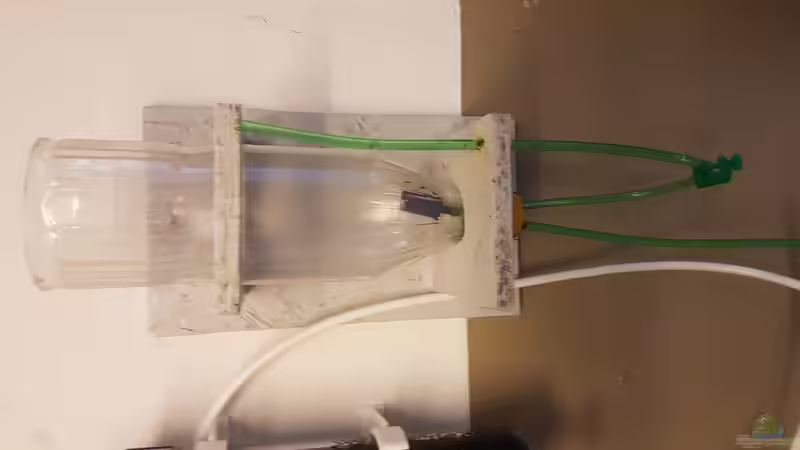 Einfache Zuchtstation für Artemia Nauplien von Kai Heermann (16)