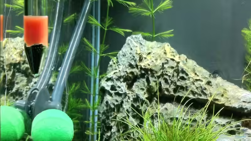 einfacher Ausströmerstein (nur noch als Beispiel) von Nano73 (21)