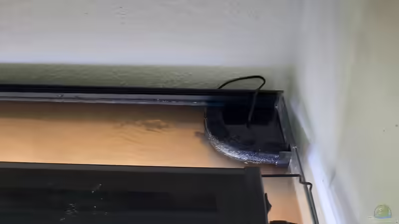 einfacher Eck-HMF mit eingelaufener Filtermatte aus dem 156l-Becken von Berlin42 (12)