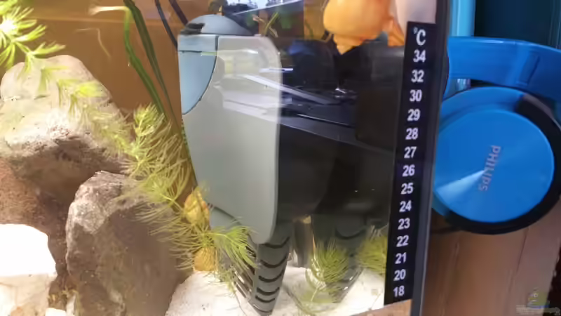Einfacher sehr leiser Innenfilter von Dukes Aquaristikexperimente (8)