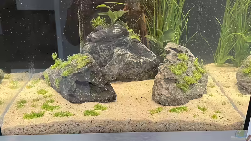 Einfahrphase Start??? von Dietmar Keßl (19)