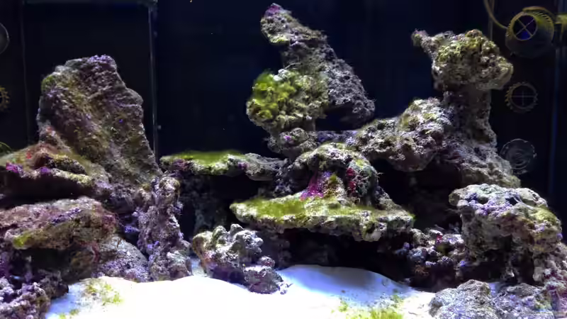 Einfahrphase von kutlesch (4)