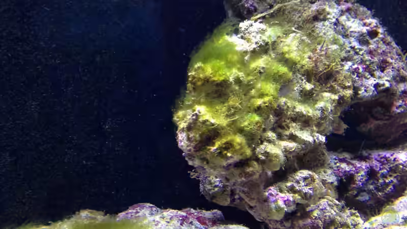 Einfahrphase von kutlesch (6)