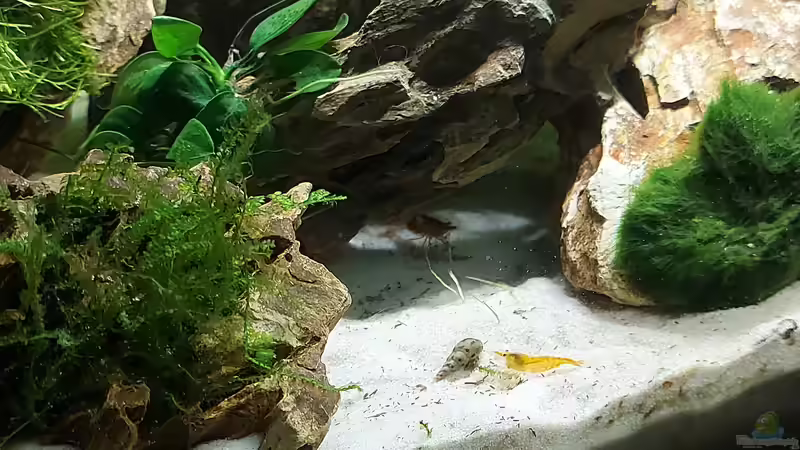 Eingang Höhle von Alex Rieger (3)