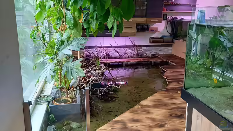 Eingangsbereich zum Biotop. Unter der Stiege ist eine Glasscheibe für die Sicht von Daniel Mayer (3)