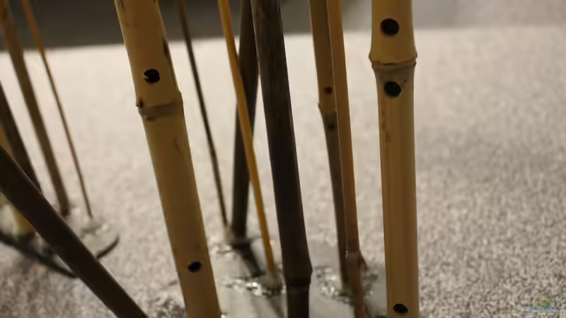 eingebaute Garnelenverstecke von Wabi (10)