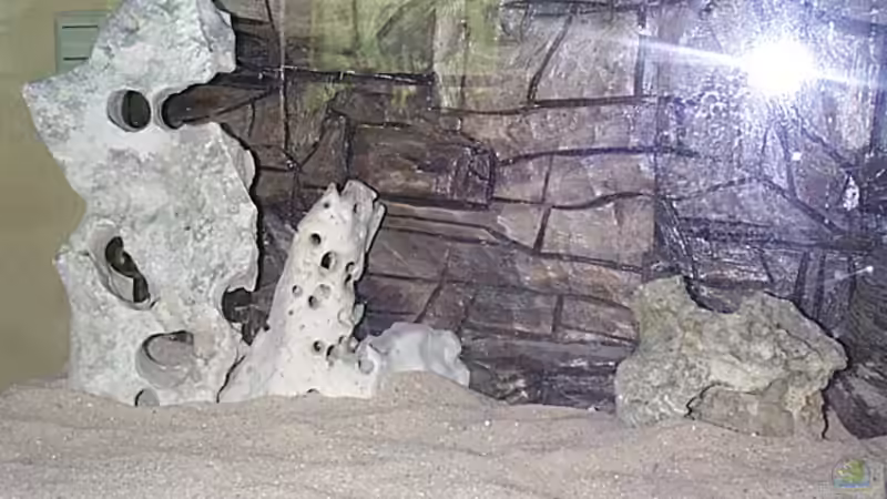 Eingebaute Rückwand von Michael Gründl (16)