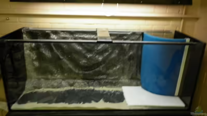 Eingeharzt mit Matte... von Julien Preuß (29)