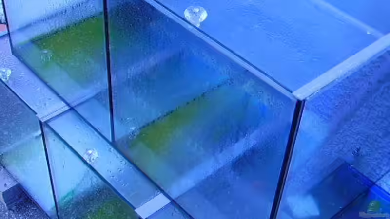 eingekauft