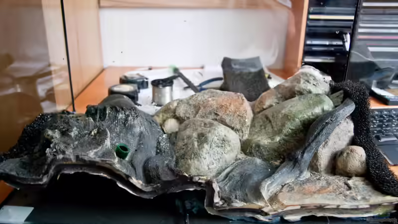 eingeklebte Rückwand von Ralf64 (37)