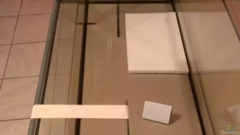 Eingeklebte Trennscheiben hinten für die Rückwände und Mattenfilter. von raubsau (7)