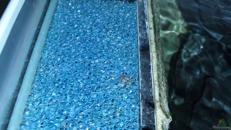 eingeklebter Bioinnenfilter von Sebastian Pietrzyk (18)