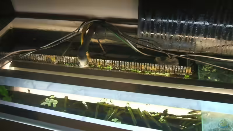 Eingeklebter Innenfilter von Stefan-HL (8)