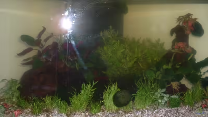 eingerichtet 10.6.06 von Mike Wolf (2)